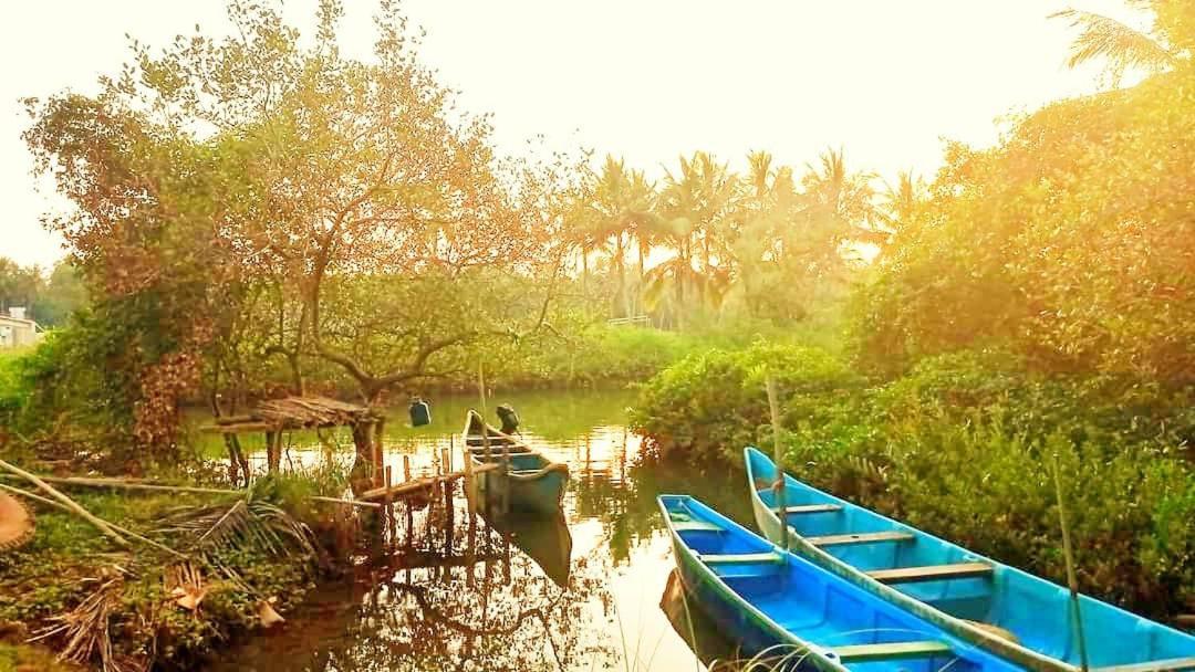 Mulappilangād Shruthi'S Aarohi-Nature'S Retreat מראה חיצוני תמונה