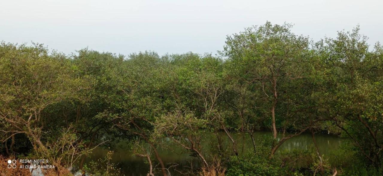 Mulappilangād Shruthi'S Aarohi-Nature'S Retreat מראה חיצוני תמונה